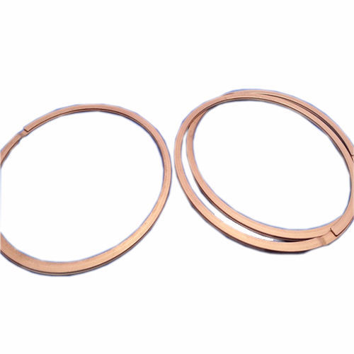 Bague d'étanchéité pour palier - FK5 ASKD - Zhejiang Lisheng Spring Co., Ltd. - en fonte / en plastique / en acier