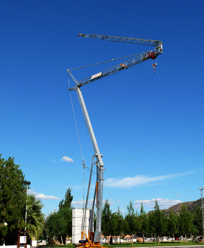 Grue montée sur camion - H 25 - Gruas Saez - à montage automatisé / pour chantier / de levage