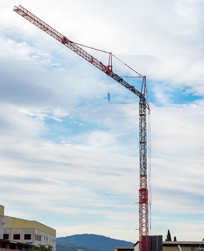 Grue montée sur camion - HT 47 - Gruas Saez - à tour / à montage automatisé / pour chantier