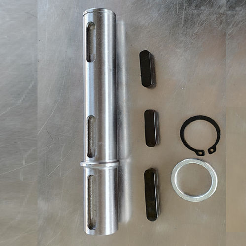 Arbre de sortie - CYRV30-CYRV 110 - Chenyue (Jiangsu) Technology Co., Ltd. - en métal / pour réducteur