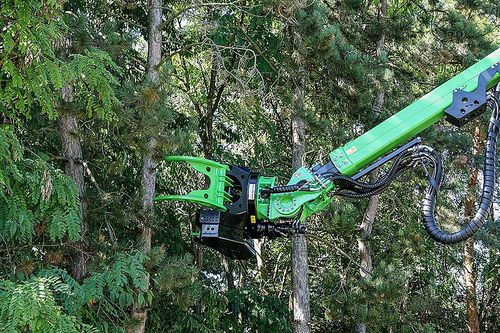 Pince pour grue forestière - TFZ 90 360 - Albach Maschinen AG