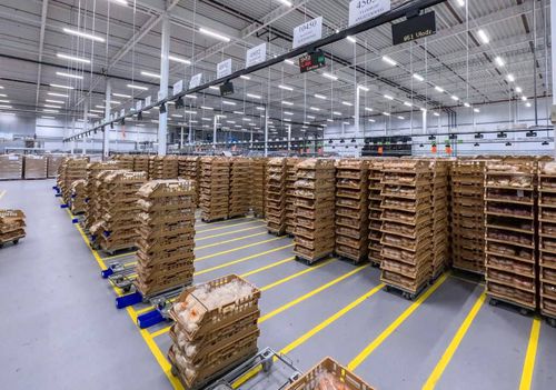 Système de préparation de commande put to light - Pcdata Logistics Automation - pour l'industrie du tabac / pour l'industrie cosmétique / pour l'intralogistique