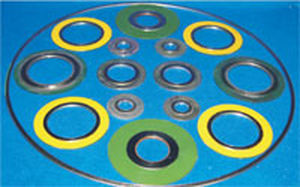 Joint torique - Bombay Chemical Equipments - spiralé / en métal / rond