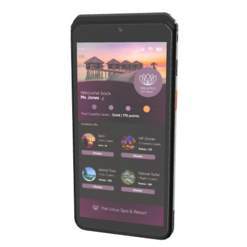 Terminal de paiement mobile - AXIUM EX8000 - Ingenico