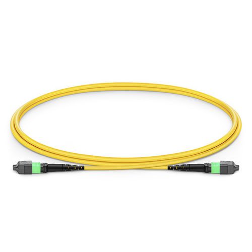 Cordon de brassage de fibre optique - Wuhan Yilut Technology Co., Ltd. - type MPO / avec pigtail