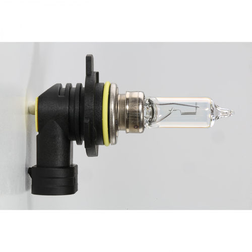 Ampoule pour l'automobile - PX22d - vosla GmbH - pour phares du véhicule / 55 W / 12 Vcc