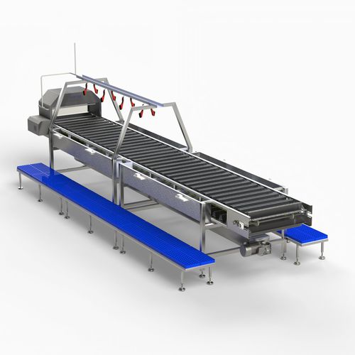 Etêteuse pour poisson - HIDRONER AQUACULTUR EQUIPMENTS