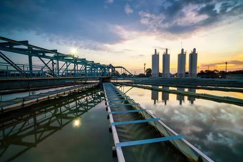 Générateur d'oxygène sec - OXYBERG&reg; - BERG Kompressoren GmbH - pour applications de haute pureté / pour le traitement des eaux / d'oxygène