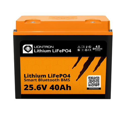 Batterie LiFePO4 - LISMART2440LX  - Liontron Ltd. - de bloc / M6 / CE