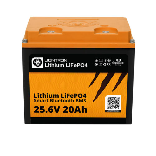 Batterie LiFePO4 - LISMART2420LX - Liontron Ltd. - de bloc / M6 / CE
