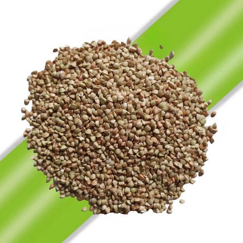 Ligne de production de tonneaux - OPTO Electronic - semi-automatique / pour l'industrie agroalimentaire