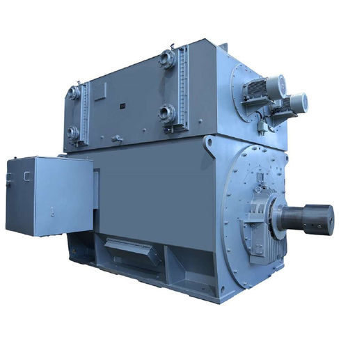 Moteur à induction - TEFC - Dowei Electric - triphasé / à aimants permanents / en fonte