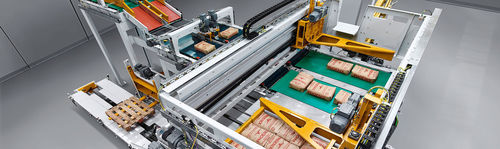 Palettiseur avec empileuse - paletpac® - BEUMER Group GmbH & Co.KG - pour granules / de manutention / automatique
