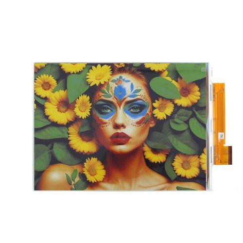 Afficheur E-Paper - Ansenke Electronics CO.,LTD - couleur / haute définition / 13.3"