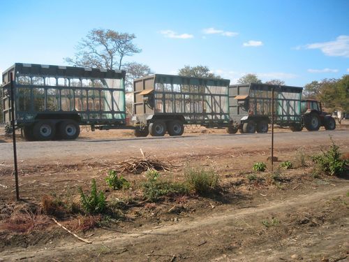 Semi-remorque benne - Deves - pour le bois / à 4 essieux / agricole