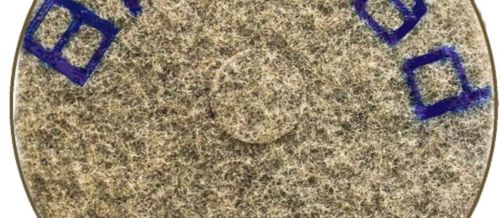 Tampon pour la rénovation des sols - BRILLPAD - CgS Abrasives