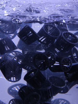 Réacteur à film biologique à lit mobile - MBBR - SFC Umwelttechnik GmBH - pour traitement des eaux usées / pour l'industrie / entièrement automatisé