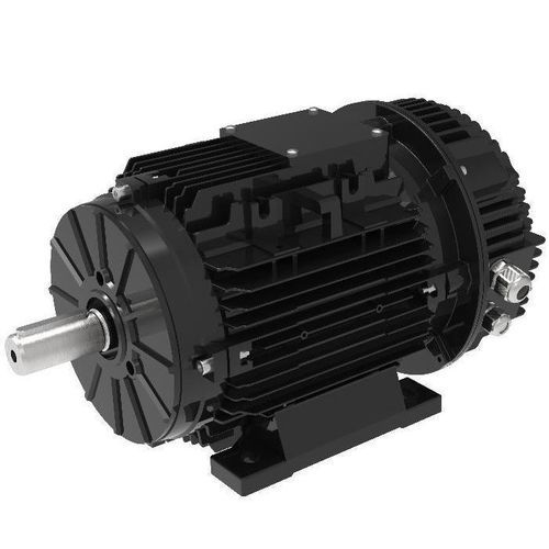Moteur synchrone - T100ECI - M&D (Motor and Drive) - à aimants permanents / IP55 / IP66