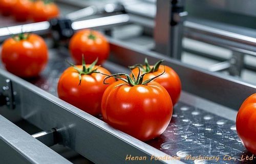 Trieuse pour l'industrie agroalimentaire - Henan Hongtu Machinery Manufacturing Co., Ltd. - pour applications agricoles / par couleurs / optique