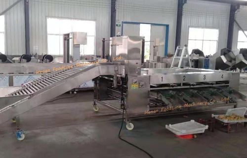 Trieuse pour l'industrie agroalimentaire - Henan Hongtu Machinery Manufacturing Co., Ltd. - pour applications agricoles / industrielle / optique