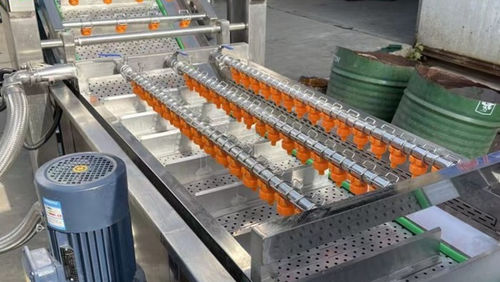 Laveuse de légumes - Henan Hongtu Machinery Manufacturing Co., Ltd. - pour fruits / d'épinards / pour fraises