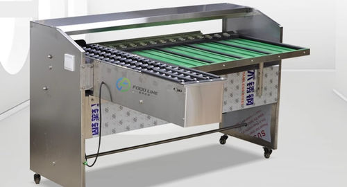 Calibreur pour œufs - FL-G series - Henan Hongtu Machinery Manufacturing Co., Ltd. - optique / mécanique / à rouleaux