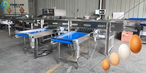 Calibreur pour produits alimentaires - FL-3 - Henan Hongtu Machinery Manufacturing Co., Ltd. - pour œufs / pour volaille / peseur