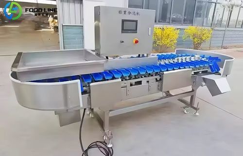 Calibreur de tri - FX100 - Henan Hongtu Machinery Manufacturing Co., Ltd. - pour fruits et légumes / pour légumes / pour fruits