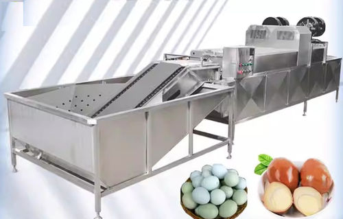 Laveuse agro-alimentaire pour oeufs - Henan Hongtu Machinery Manufacturing Co., Ltd. - automatique / à brosse / de rinçage