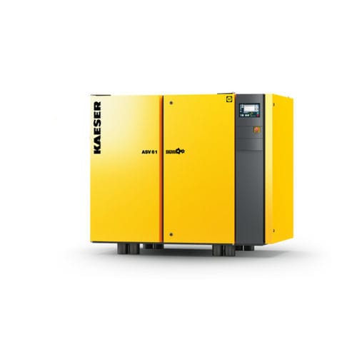Groupe de vide à vis - BSV 81 - KAESER Kompressoren - industriel / automatique / multi-étagé