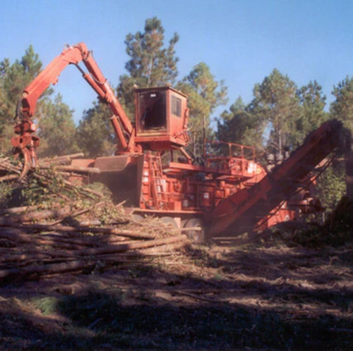 Abatteuse forestière sur chariot motorisé - 2355 - Morbark, Inc.