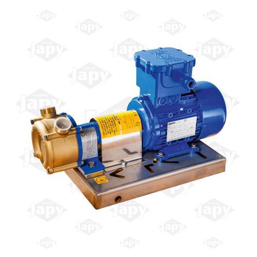 Pompe à canal latéral - EEX-GR25 series - Pompes Japy - à eau / pour alcool / pour diesel
