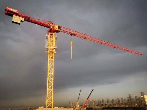 Grue fixe - SFT100(T6013-8) - SANY - à tour topless / pour chantier / de levage