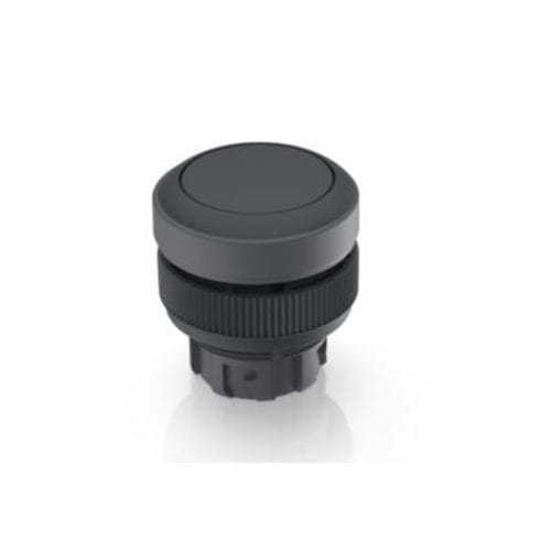 Bouton poussoir à ressort - RAFIX 22 QR series - RAFI GmbH & Co. KG - IP65 / monté sur panneau / action momentanée