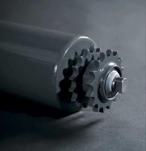 Rouleau moteur double pignon - 317-318 series - DUGOMRULLI