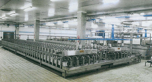 Presse pneumatique - Magnabosco - pour le moulage / de production