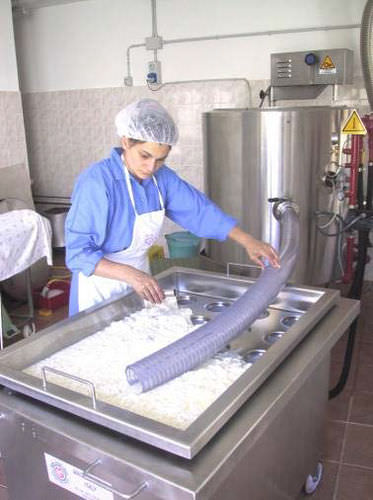 Ligne de production de fromage - MALGAMATIC - Magnabosco