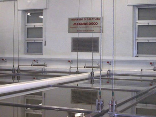Machine de salage de fromage - Magnabosco