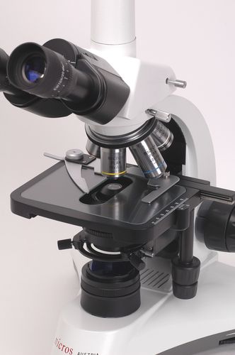 Microscope optique - 5 W LED | Orchid MCX300 - MICROS Produktions- & Handels GmbH. - biomédical / de paillasse / à caméra numérique