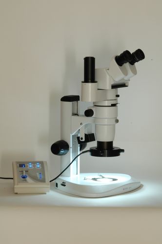 Illuminateur à LED - SATURN - MICROS Produktions- & Handels GmbH. - blanc / compact / pour microscope