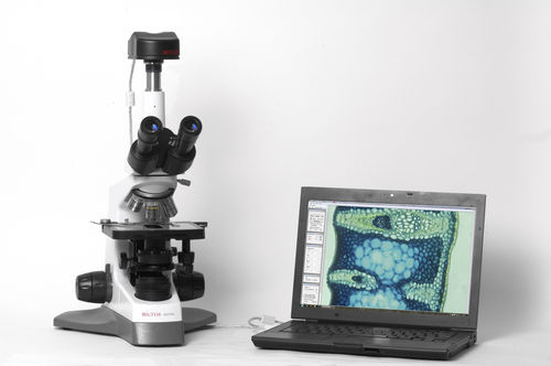 Microscope optique - MICROS CROCUS 5MP MCX100 - MICROS Produktions- & Handels GmbH. - de laboratoire / de paillasse / assisté par ordinateur
