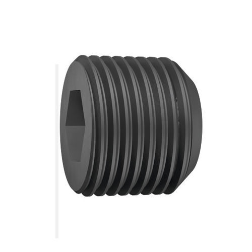 Bouchon cylindrique - GZ359314 - EMUGE-FRANKEN - mâle / fileté / en plastique
