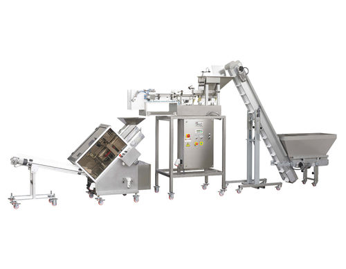 Ensacheuse verticale - Mod. VTR-1+CA - Gasparin S.r.l. Brevetti - inclinée / flow-pack / automatique