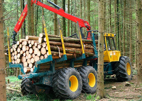 Porteur forestier - HSM 904F - HSM - Hohenloher Spezial-Maschinenbau GmbH & Co. K