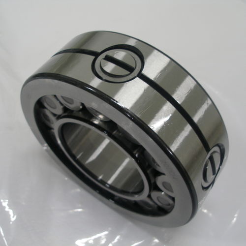 Roulement à rouleaux cylindriques - SL 19 series - THB Bearings - à une rangée / en acier
