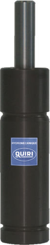 Ressort à gaz en acier inoxydable - RG19  - QUIRI - pour l'automobile / à usage industriel / micro
