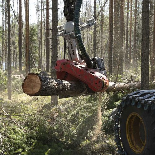 Tête d'abattage - 5000V - Log Max