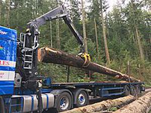 Grue montée sur camion - 2121Z,2124Z - Kesla Oyj - télescopique / forestière / de manutention