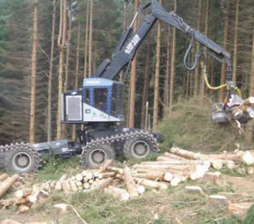 Abatteuse forestière sur pneus - 300 hp | TB series - TimberPro, Inc.