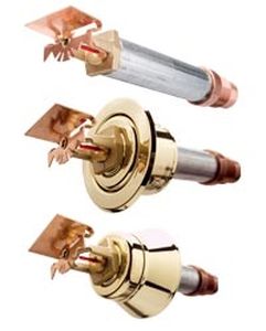 Sprinkler sec - DS series - Tyco
